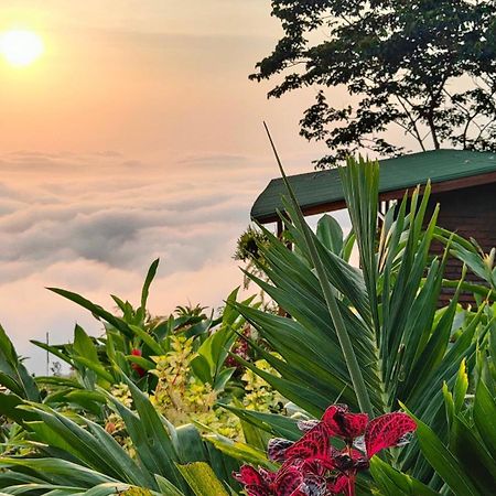 Minca Sintropia - Sustainable Lodge & Organic Coffee Finca Екстериор снимка