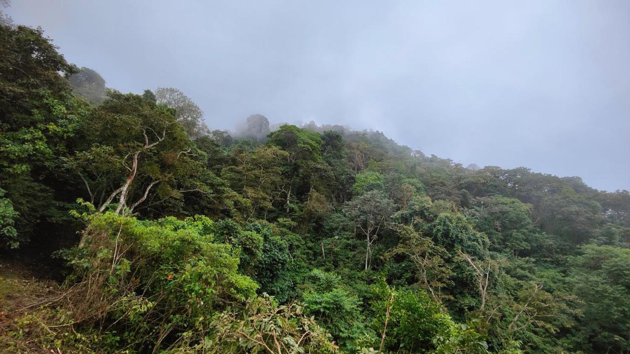 Minca Sintropia - Sustainable Lodge & Organic Coffee Finca Екстериор снимка
