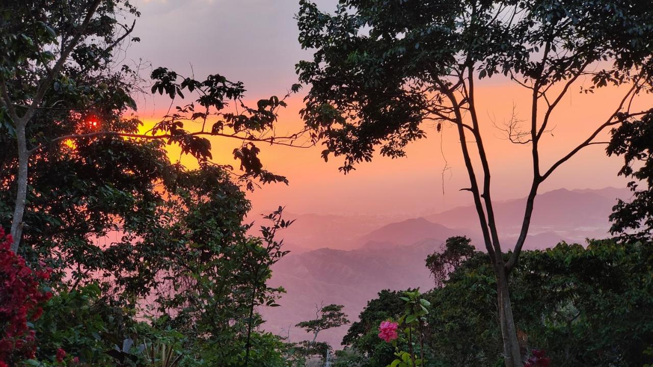 Minca Sintropia - Sustainable Lodge & Organic Coffee Finca Екстериор снимка