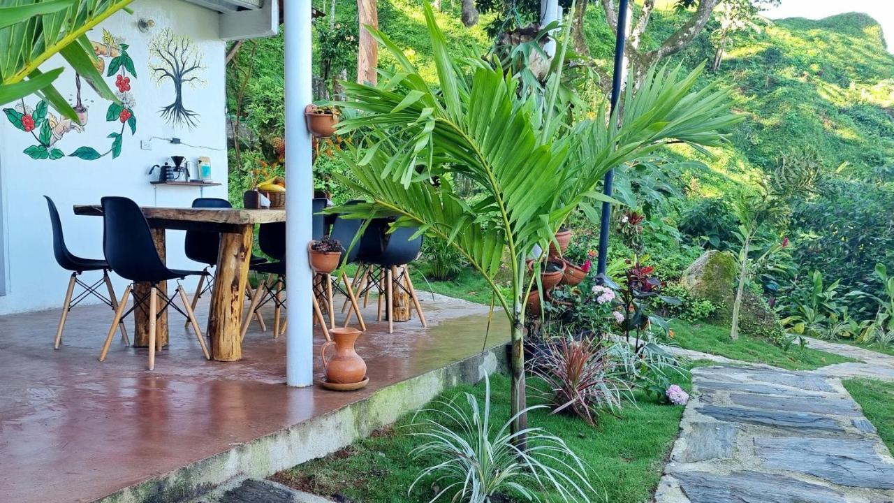 Minca Sintropia - Sustainable Lodge & Organic Coffee Finca Екстериор снимка