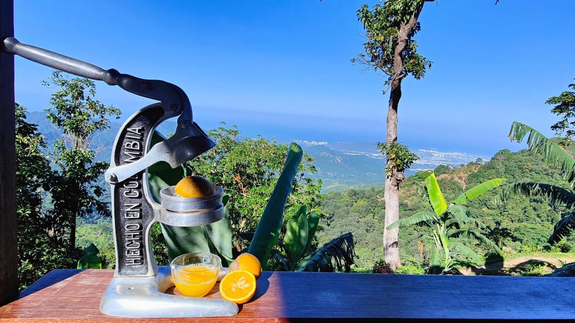 Minca Sintropia - Sustainable Lodge & Organic Coffee Finca Екстериор снимка