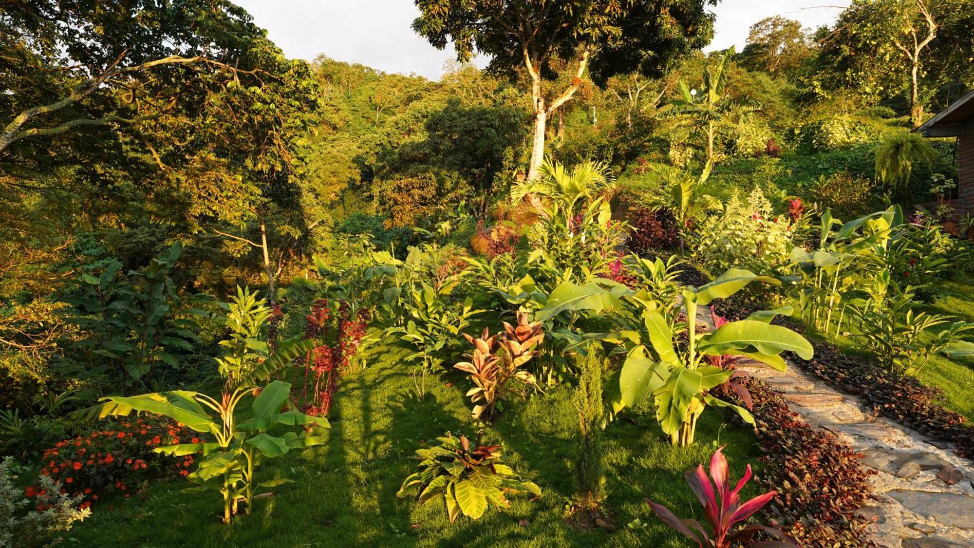 Minca Sintropia - Sustainable Lodge & Organic Coffee Finca Екстериор снимка