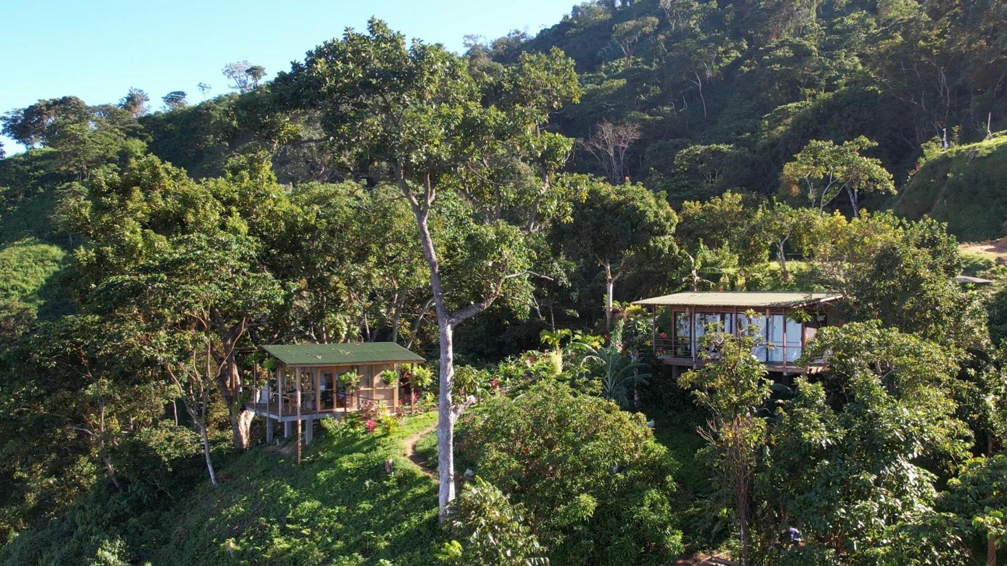Minca Sintropia - Sustainable Lodge & Organic Coffee Finca Екстериор снимка