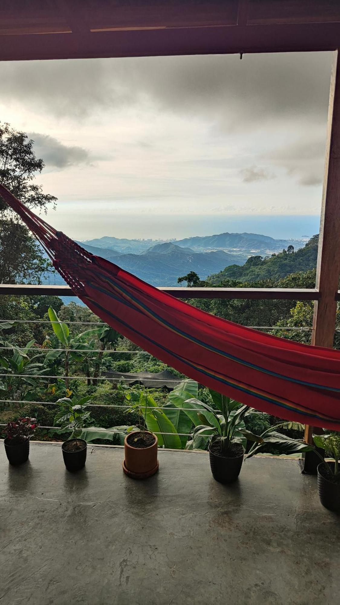 Minca Sintropia - Sustainable Lodge & Organic Coffee Finca Стая снимка