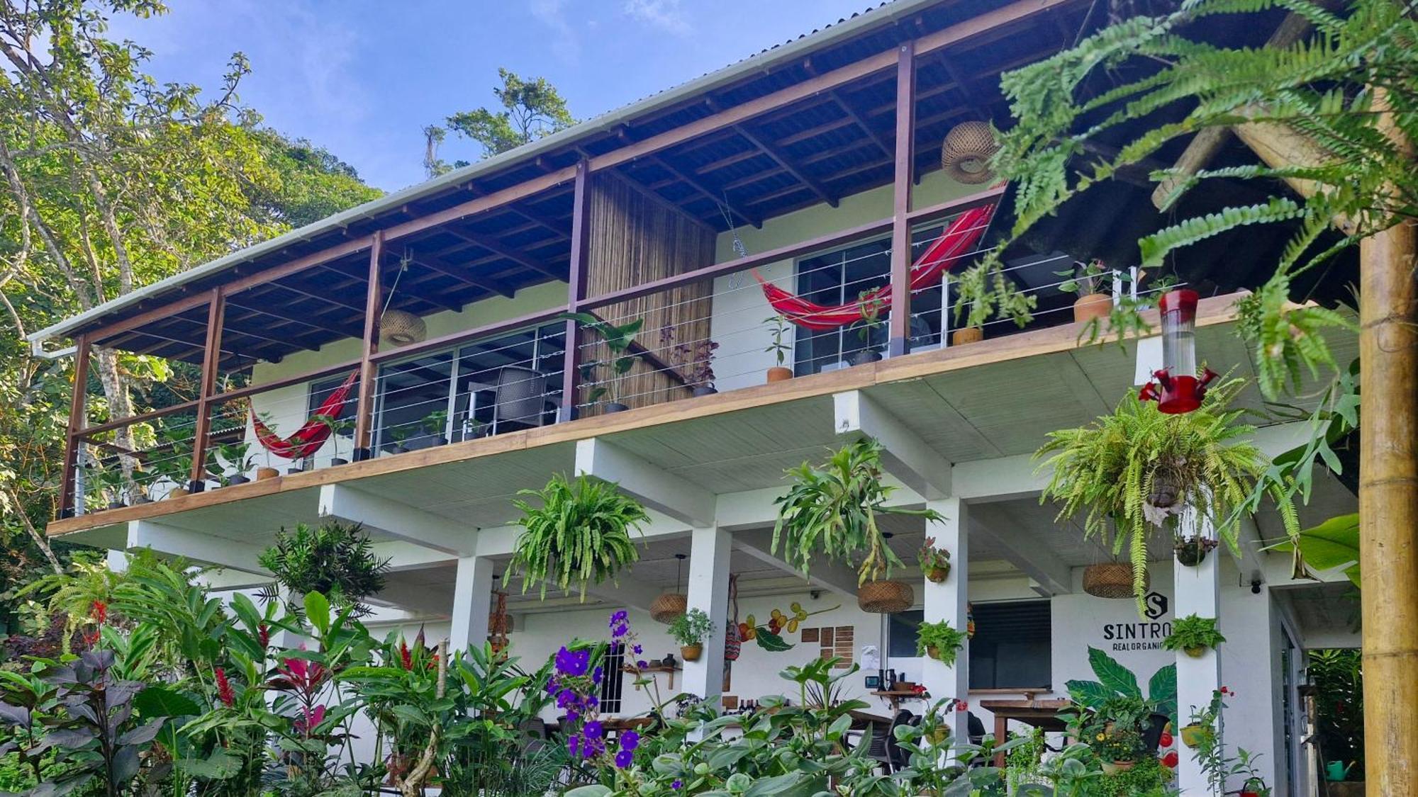 Minca Sintropia - Sustainable Lodge & Organic Coffee Finca Стая снимка
