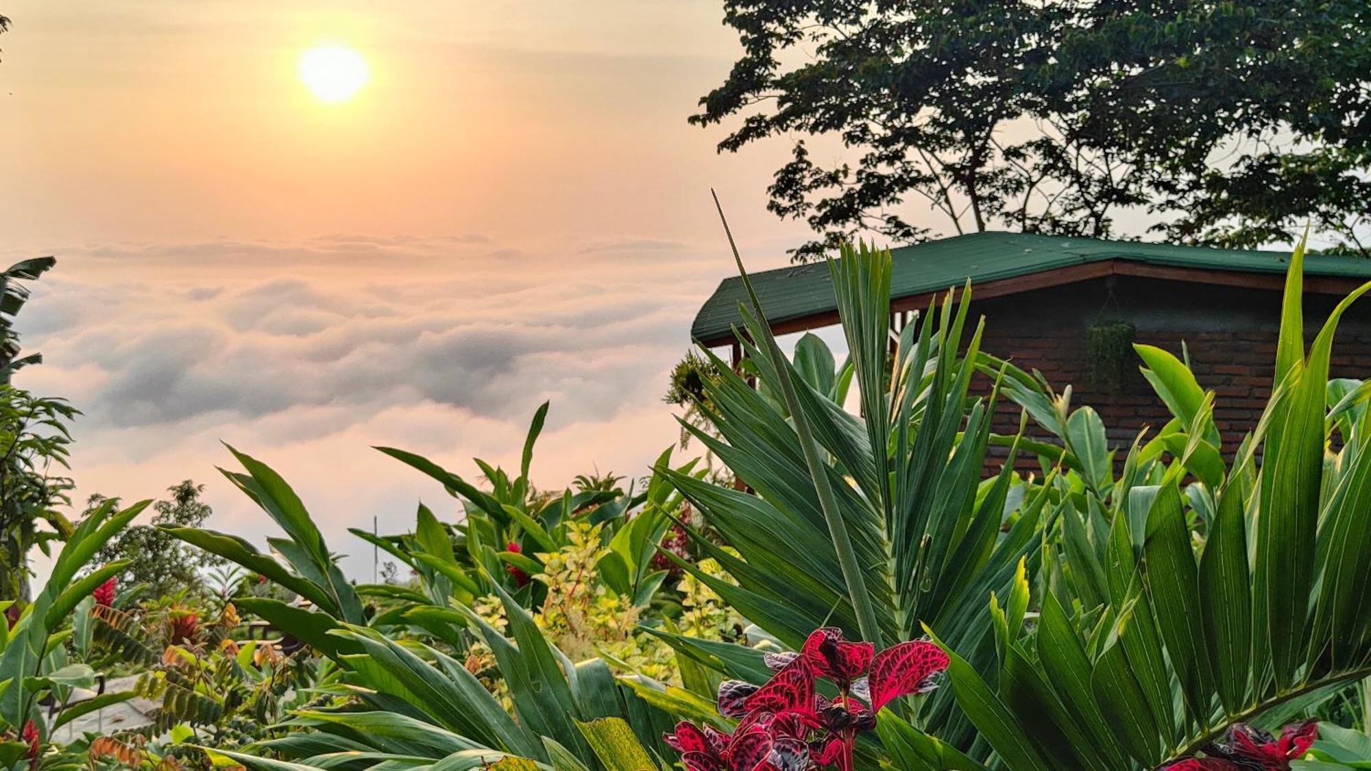 Minca Sintropia - Sustainable Lodge & Organic Coffee Finca Екстериор снимка